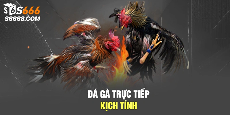 Cập nhật liên tục trên trang chủ