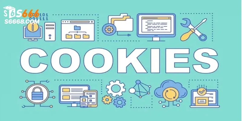 Chính sách Cookie đóng vai trò quan trọng