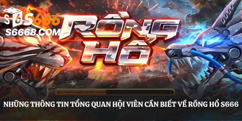 Những thông tin tổng quan hội viên cần biết về Rồng Hổ S666